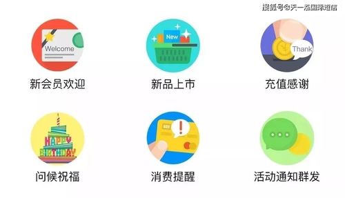 融合短信營銷技巧與信息系統運行維護服務，打造穩固顧客關系